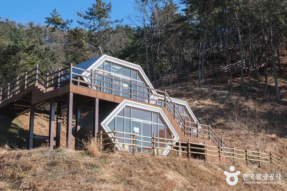 국립익산치유의숲 여행 추천 - 메고지고 국립익산치유의숲 여행 추천 - 메고지고