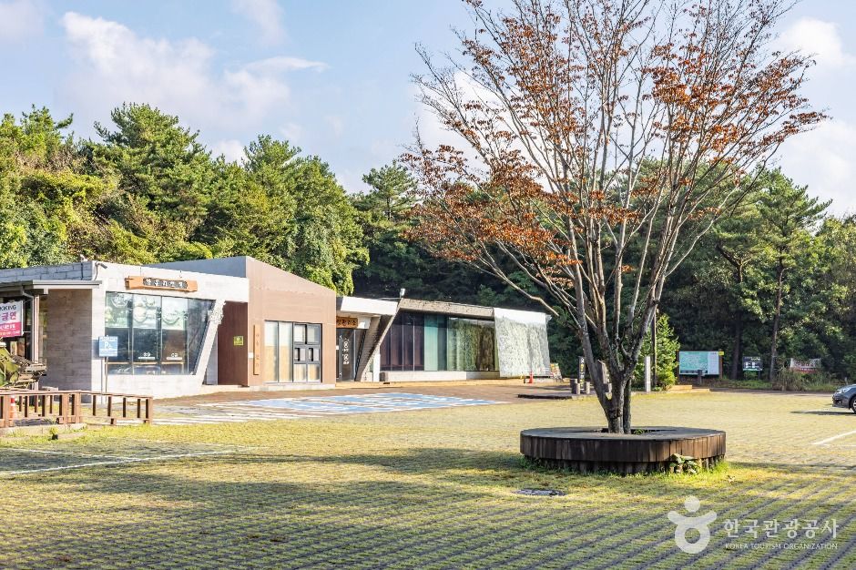 서귀포 치유의 숲 여행 추천 - 메고지고