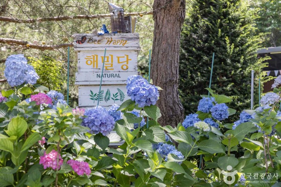 해밀당 여행 추천 - 메고지고 해밀당 여행 추천 - 메고지고