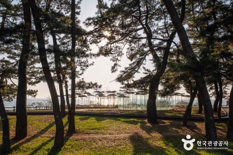 서해안 황금해안길 여행 추천 - 메고지고 서해안 황금해안길 여행 추천 - 메고지고