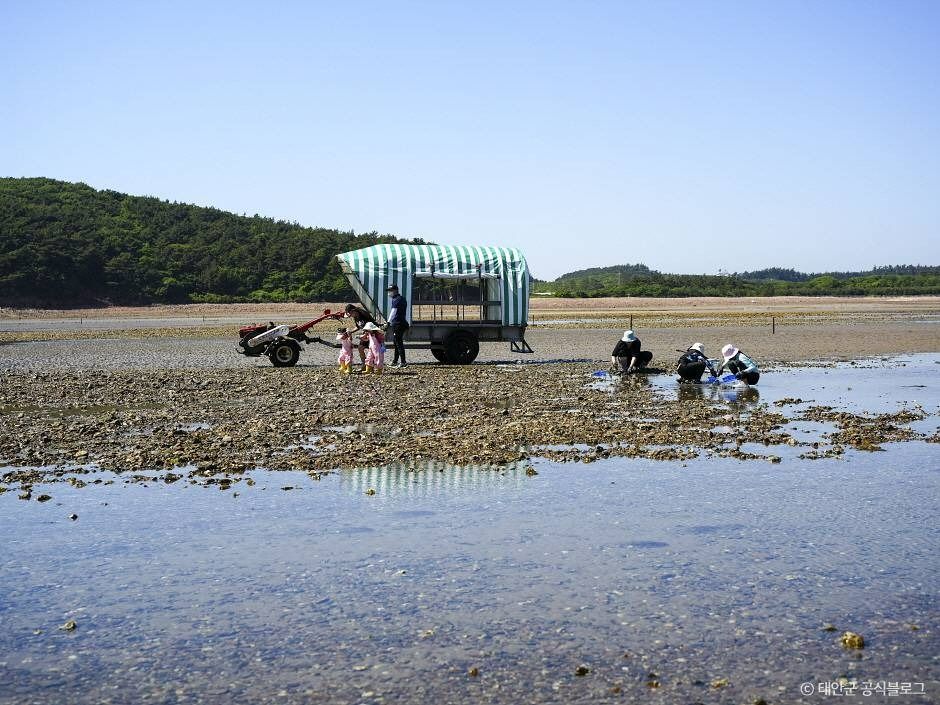 병술만어촌체험마을 여행 추천 - 메고지고 병술만어촌체험마을 여행 추천 - 메고지고