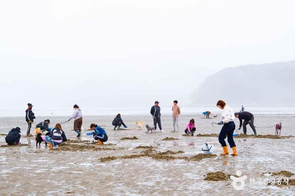 병술만어촌체험마을 여행 추천 - 메고지고 병술만어촌체험마을 여행 추천 - 메고지고