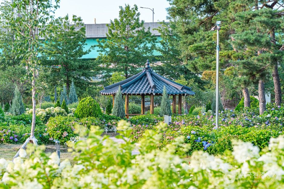 구리한강시민공원(코스모스공원) 여행 추천 - 메고지고 구리한강시민공원(코스모스공원) 여행 추천 - 메고지고