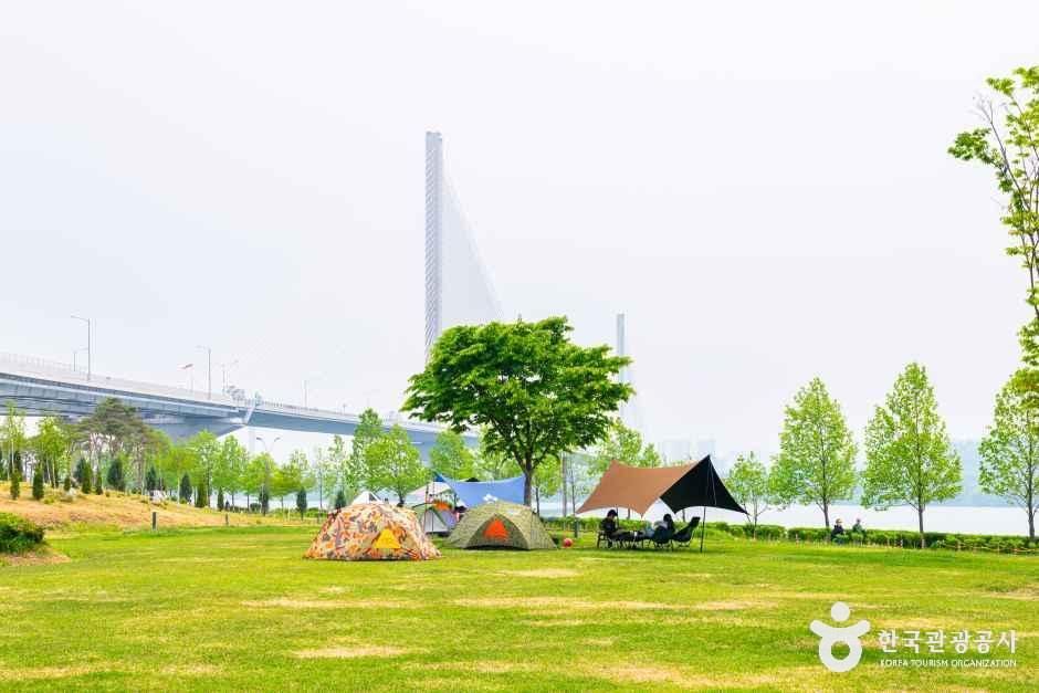 구리한강시민공원(코스모스공원) 여행 추천 - 메고지고 구리한강시민공원(코스모스공원) 여행 추천 - 메고지고