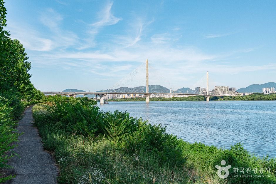 구리한강시민공원(코스모스공원) 여행 추천 - 메고지고 구리한강시민공원(코스모스공원) 여행 추천 - 메고지고