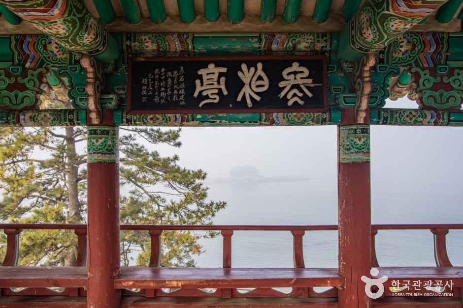 서천 마량리 동백나무 숲 여행 추천 - 메고지고 서천 마량리 동백나무 숲 여행 추천 - 메고지고