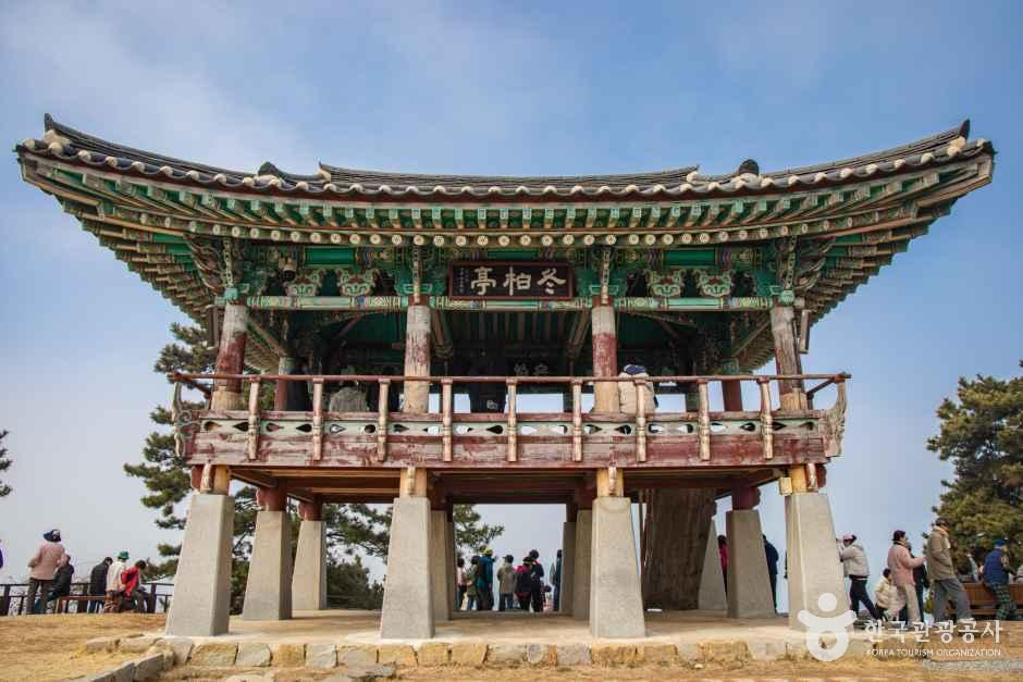 서천 마량리 동백나무 숲 여행 추천 - 메고지고 서천 마량리 동백나무 숲 여행 추천 - 메고지고