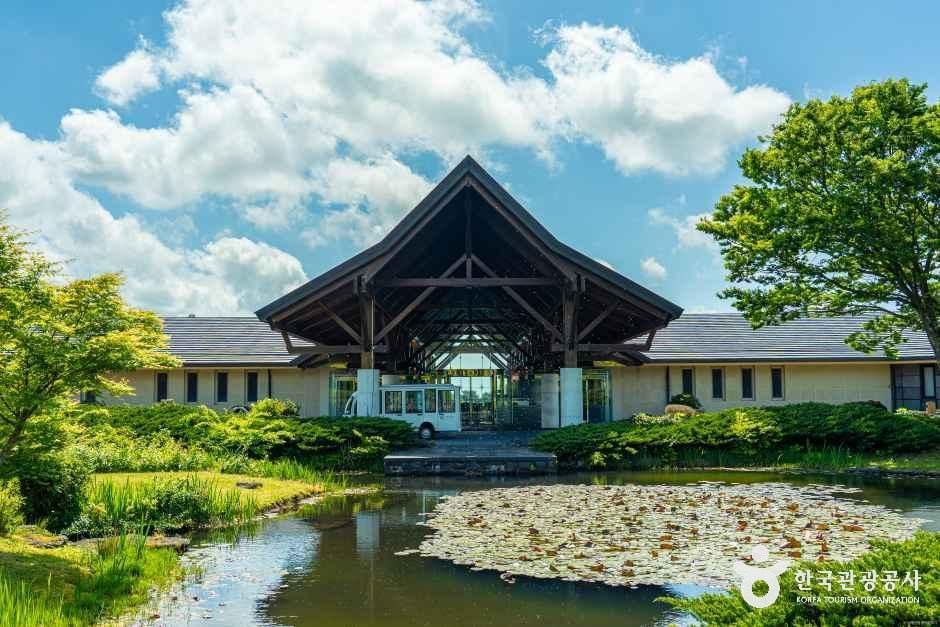 엘리시안 제주 컨트리클럽 여행 추천 - 메고지고 엘리시안 제주 컨트리클럽 여행 추천 - 메고지고