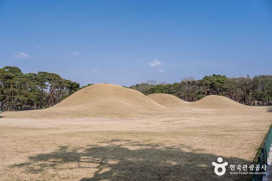 경주 오릉 여행 추천 - 메고지고 경주 오릉 여행 추천 - 메고지고