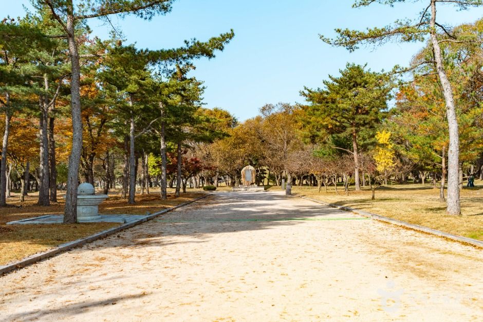 경주 오릉 여행 추천 - 메고지고 경주 오릉 여행 추천 - 메고지고