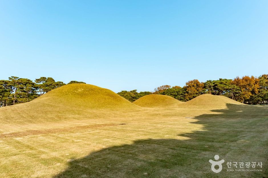 경주 오릉 여행 추천 - 메고지고 경주 오릉 여행 추천 - 메고지고