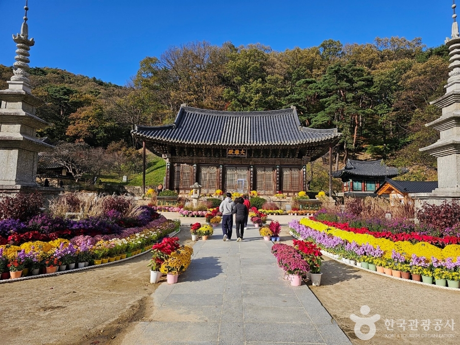 직지사 여행 추천 - 메고지고