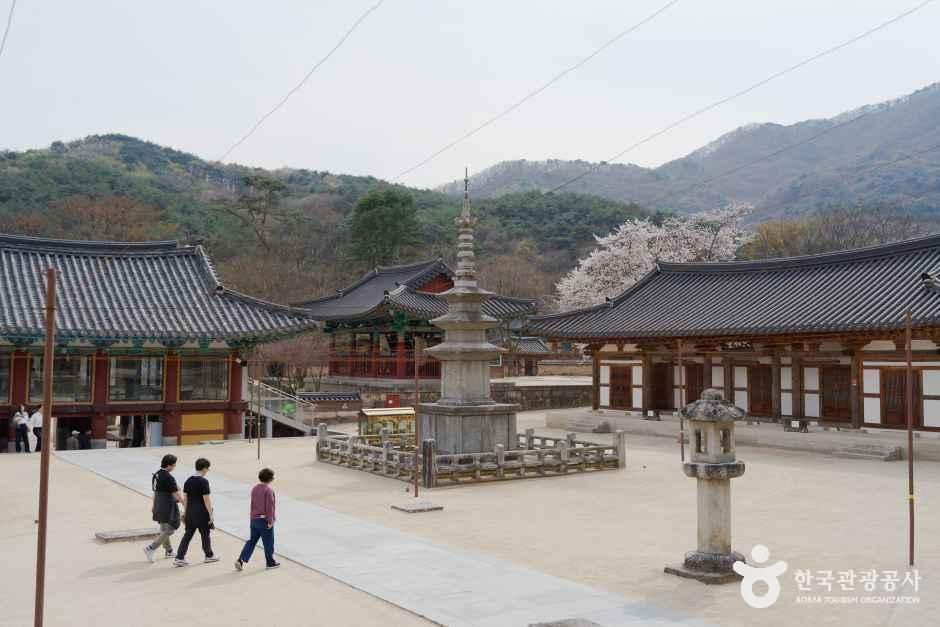 직지사 여행 추천 - 메고지고
