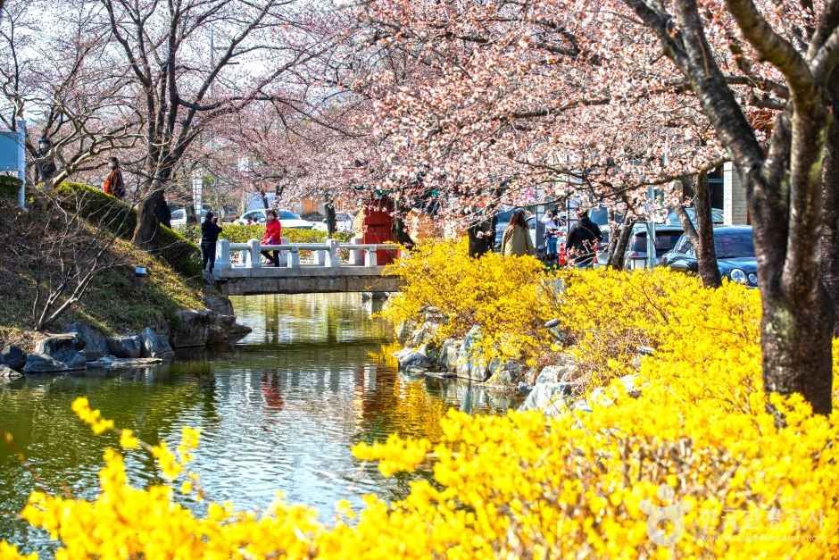 교동 연화지 여행 추천 - 메고지고 교동 연화지 여행 추천 - 메고지고