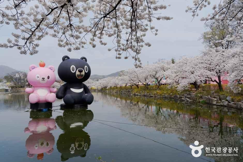 교동 연화지 여행 추천 - 메고지고 교동 연화지 여행 추천 - 메고지고
