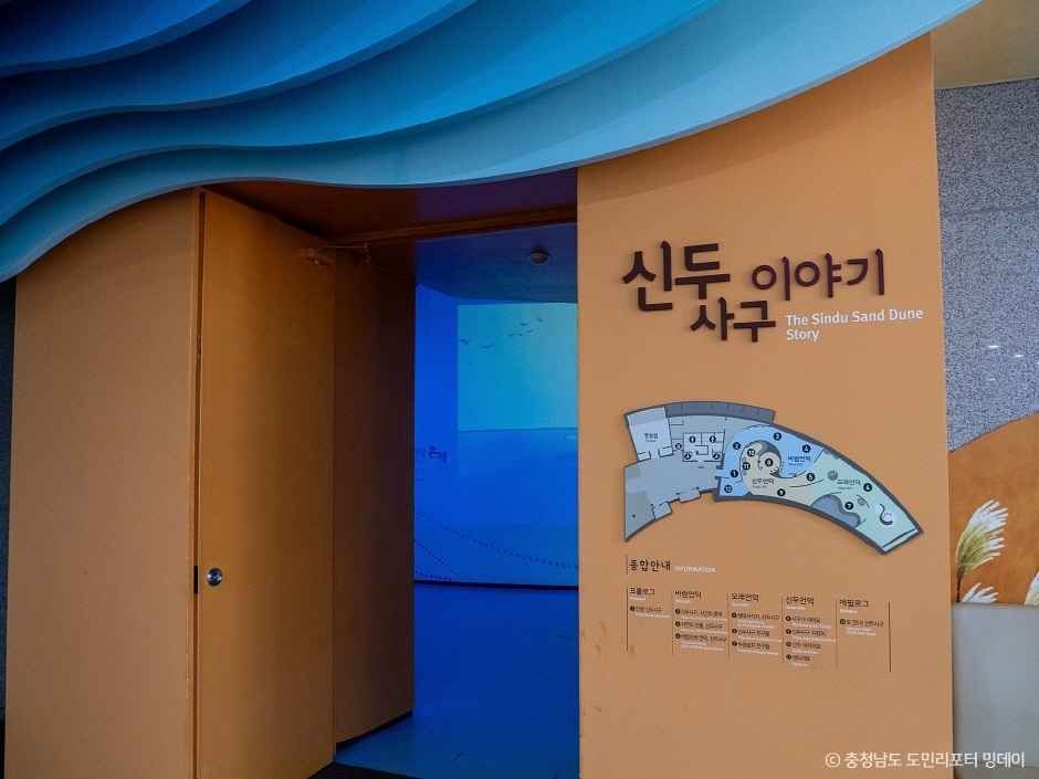 신두리사구센터 여행 추천 - 메고지고 신두리사구센터 여행 추천 - 메고지고