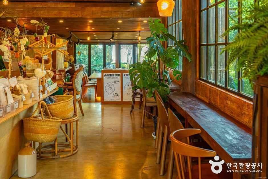 제주양떼목장 여행 추천 - 메고지고 제주양떼목장 여행 추천 - 메고지고