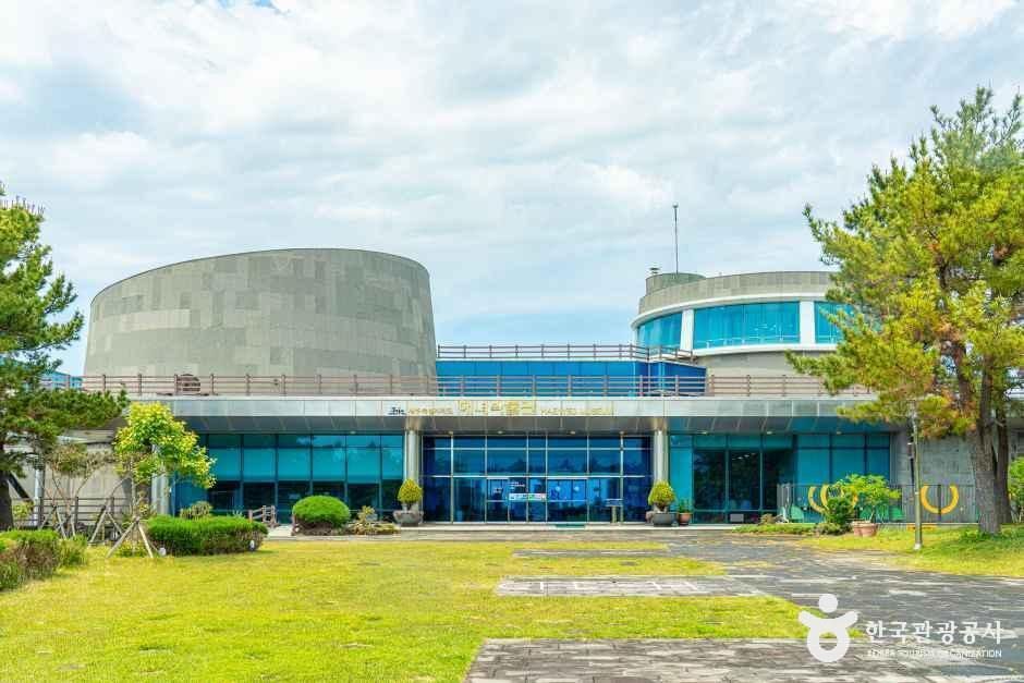 제주해녀박물관 여행 추천 - 메고지고 제주해녀박물관 여행 추천 - 메고지고