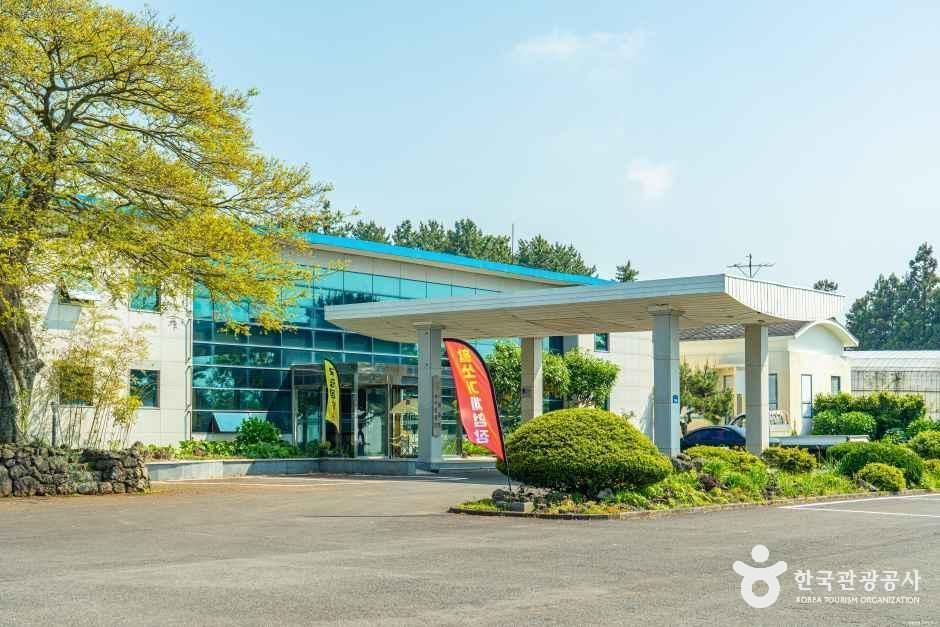 제주힐링명상테마파크 여행 추천 - 메고지고