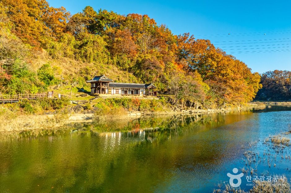 옥천 이지당 여행 추천 - 메고지고
