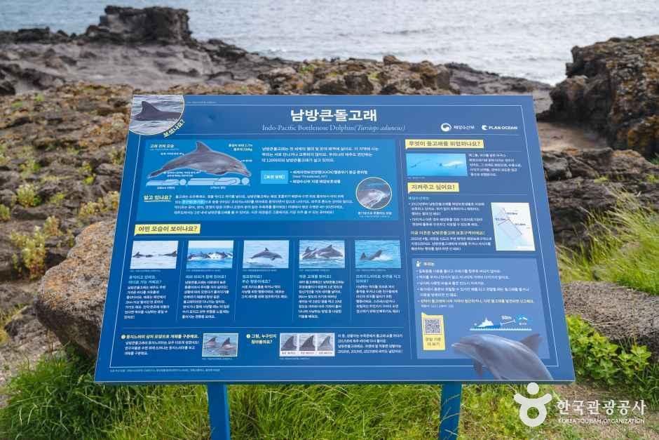 뿔소라공원 여행 추천 - 메고지고 뿔소라공원 여행 추천 - 메고지고