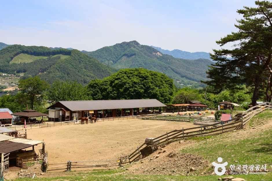 해피초원목장 여행 추천 - 메고지고 해피초원목장 여행 추천 - 메고지고