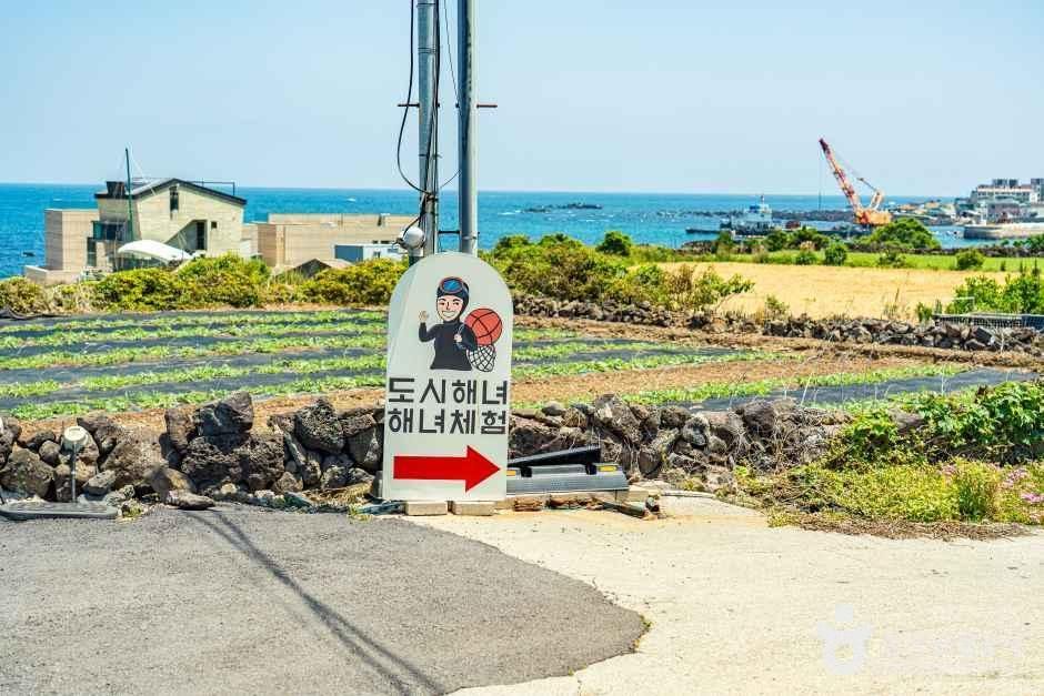 도시해녀 여행 추천 - 메고지고 도시해녀 여행 추천 - 메고지고