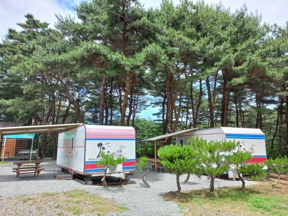양양 솔바다 캠핑장 여행 추천 - 메고지고 양양 솔바다 캠핑장 여행 추천 - 메고지고