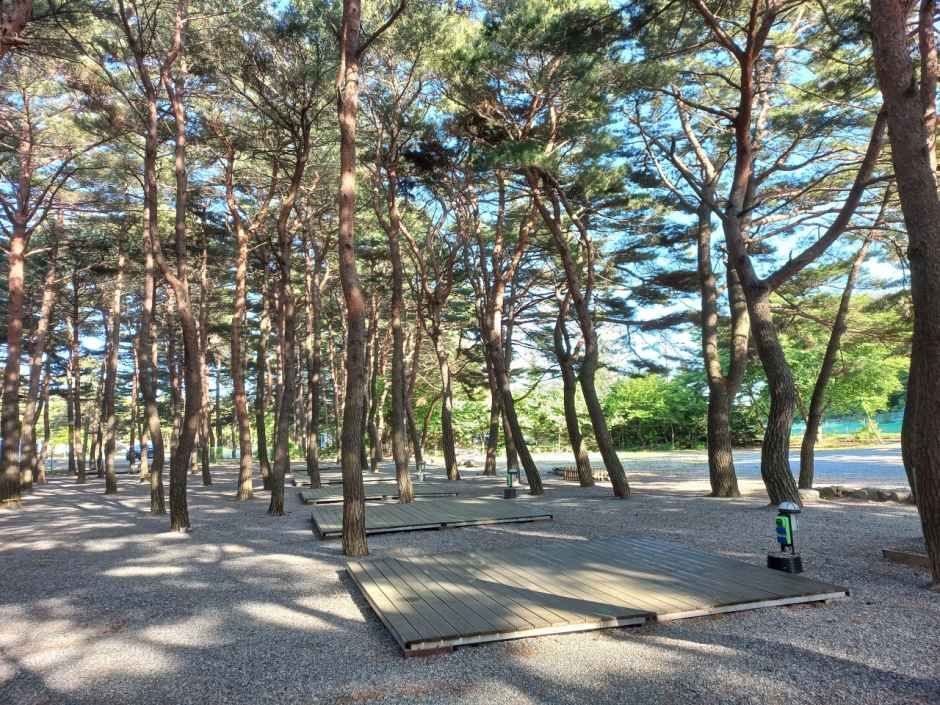 양양 솔바다 캠핑장 여행 추천 - 메고지고 양양 솔바다 캠핑장 여행 추천 - 메고지고