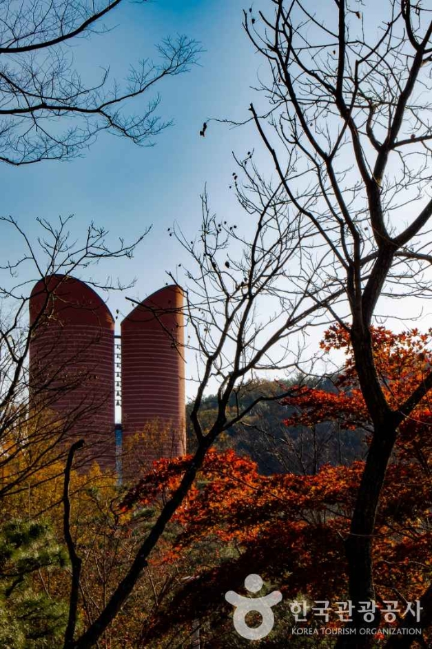 남양성모성지 여행 추천 - 메고지고