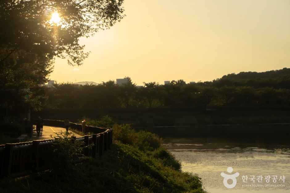 율동공원 여행 추천 - 메고지고 율동공원 여행 추천 - 메고지고