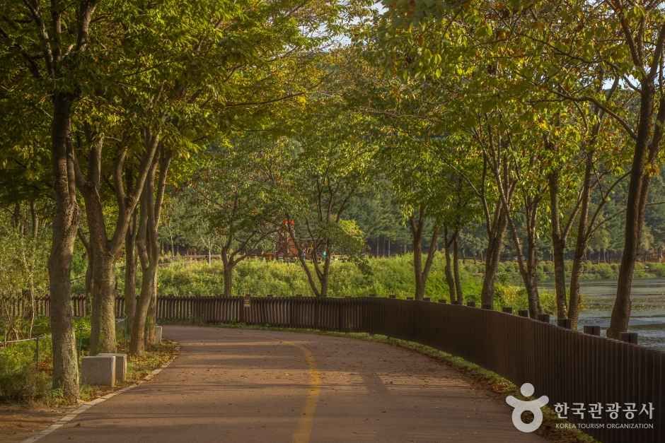 율동공원 여행 추천 - 메고지고 율동공원 여행 추천 - 메고지고
