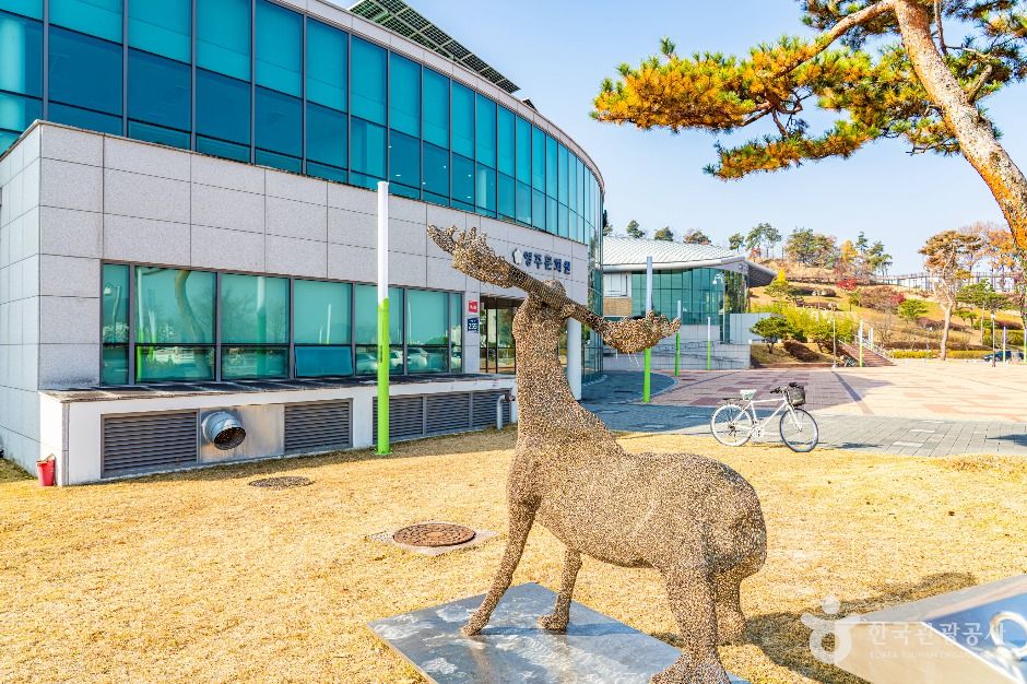 영주문화원 여행 추천 - 메고지고 영주문화원 여행 추천 - 메고지고