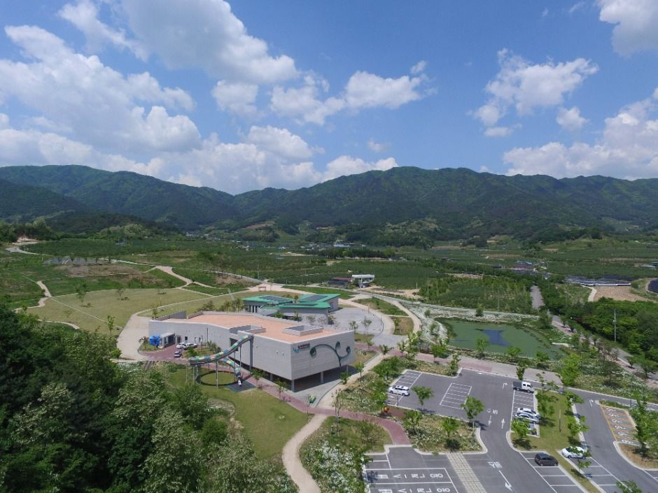 영주 콩세계과학관 여행 추천 - 메고지고 영주 콩세계과학관 여행 추천 - 메고지고