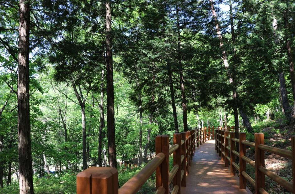 국립대운산치유의숲 여행 추천 - 메고지고