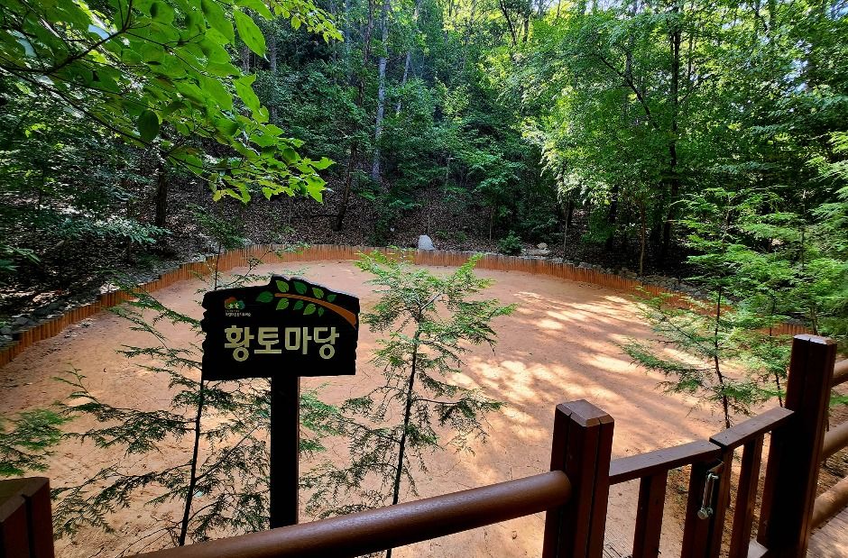 국립대운산치유의숲 여행 추천 - 메고지고