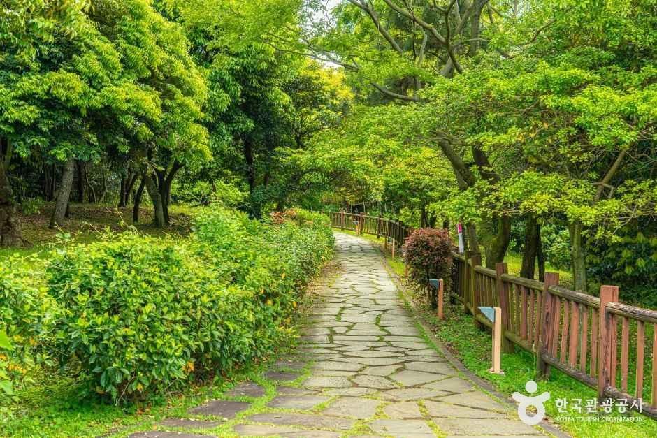 서귀포칠십리시공원 여행 추천 - 메고지고 서귀포칠십리시공원 여행 추천 - 메고지고