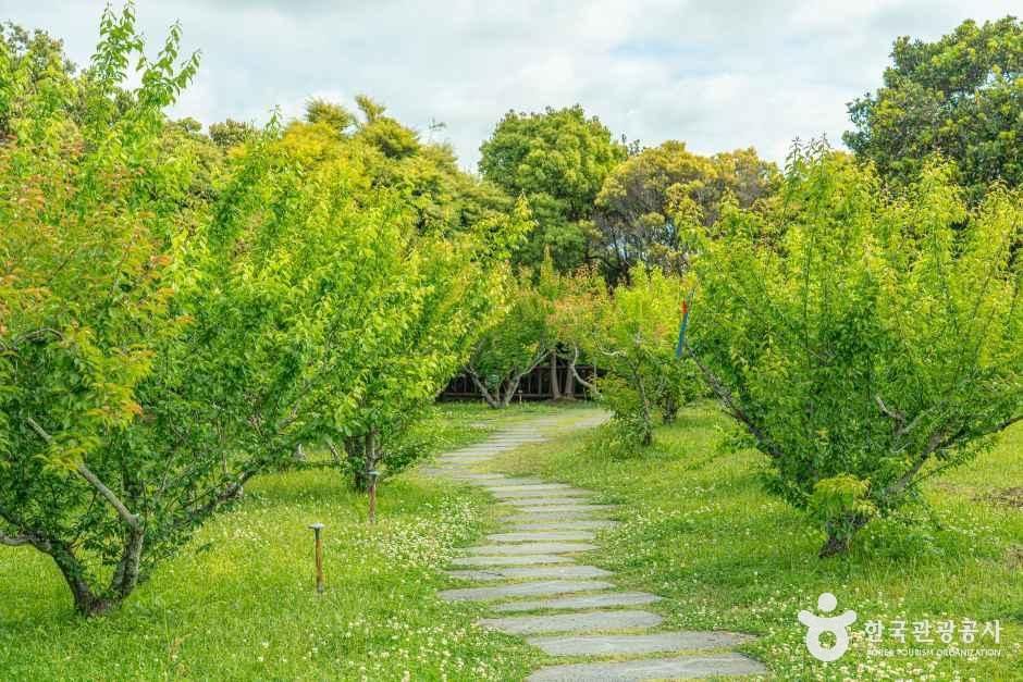 서귀포칠십리시공원 여행 추천 - 메고지고 서귀포칠십리시공원 여행 추천 - 메고지고
