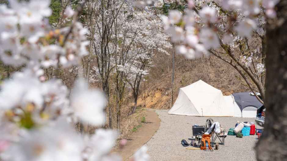스칼라캠프장 여행 추천 - 메고지고 스칼라캠프장 여행 추천 - 메고지고
