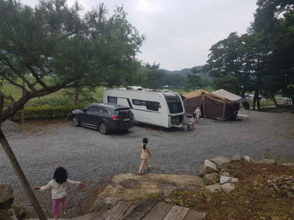 읍내리75-1캠핑장 여행 추천 - 메고지고 읍내리75-1캠핑장 여행 추천 - 메고지고