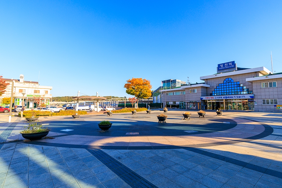 영천역 광장 여행 추천 - 메고지고 영천역 광장 여행 추천 - 메고지고