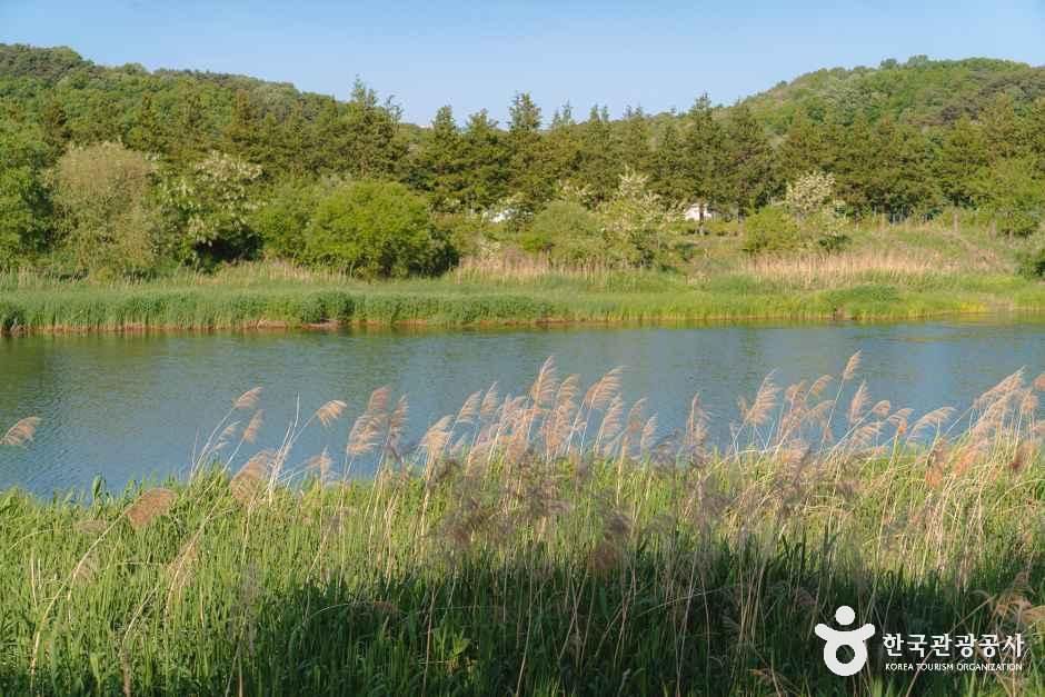 조천서자전거길 여행 추천 - 메고지고