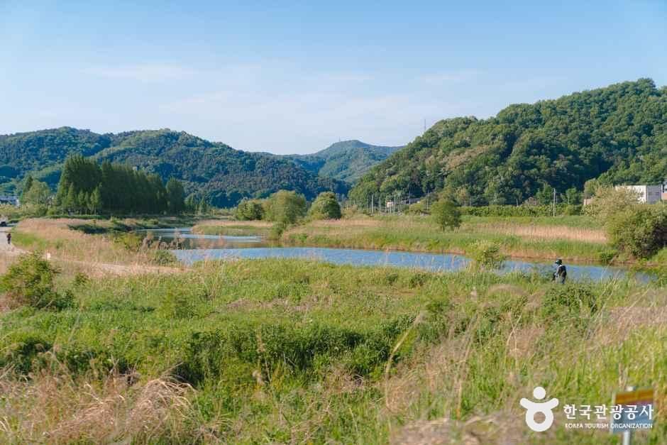 조천서자전거길 여행 추천 - 메고지고