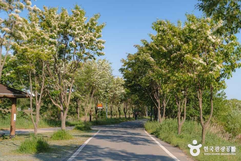 조천서자전거길 여행 추천 - 메고지고