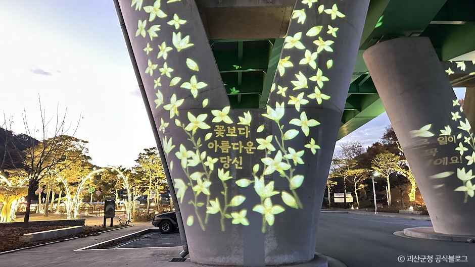 괴강불빛공원 여행 추천 - 메고지고 괴강불빛공원 여행 추천 - 메고지고