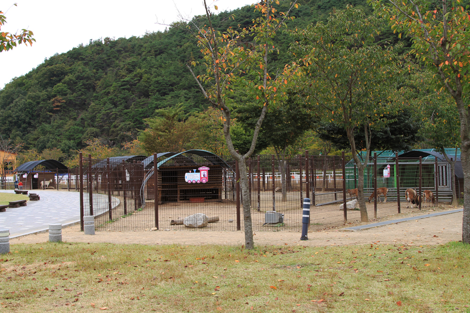 대가야역사테마관광지캠핑장 여행 추천 - 메고지고 대가야역사테마관광지캠핑장 여행 추천 - 메고지고