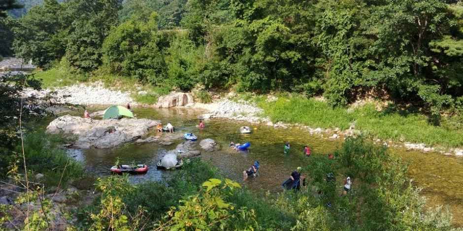 샘골솔밭야영장 여행 추천 - 메고지고 샘골솔밭야영장 여행 추천 - 메고지고
