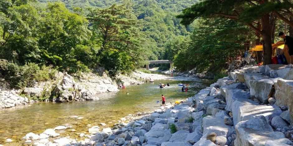 샘골솔밭야영장 여행 추천 - 메고지고 샘골솔밭야영장 여행 추천 - 메고지고
