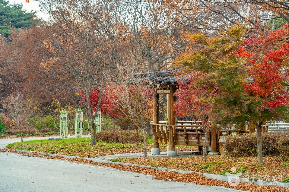 남원 추어마을 여행 추천 - 메고지고