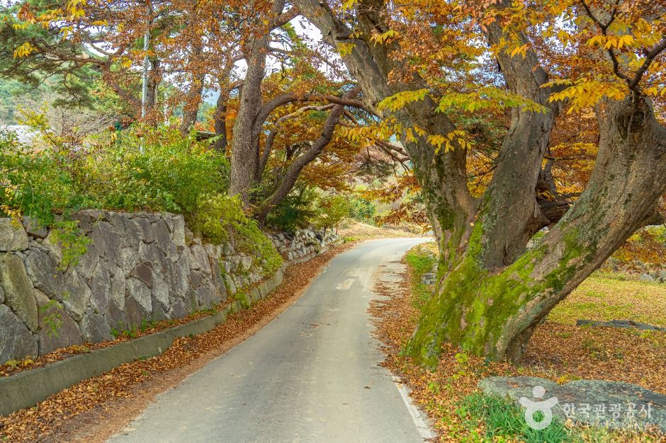 남원 추어마을 여행 추천 - 메고지고